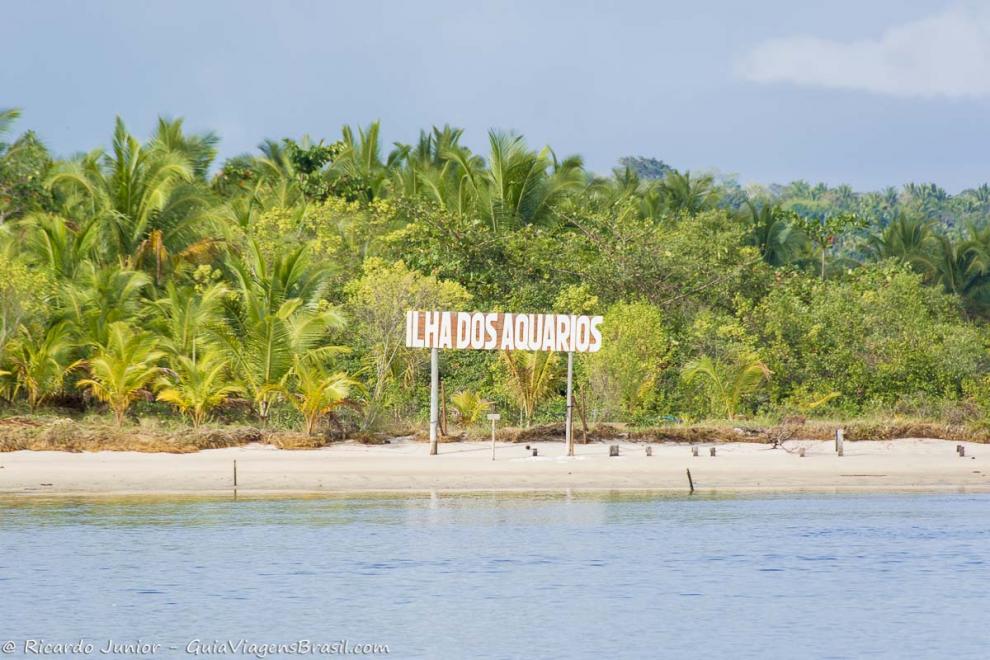 Imagem da linda Ilha dos Aquárius.